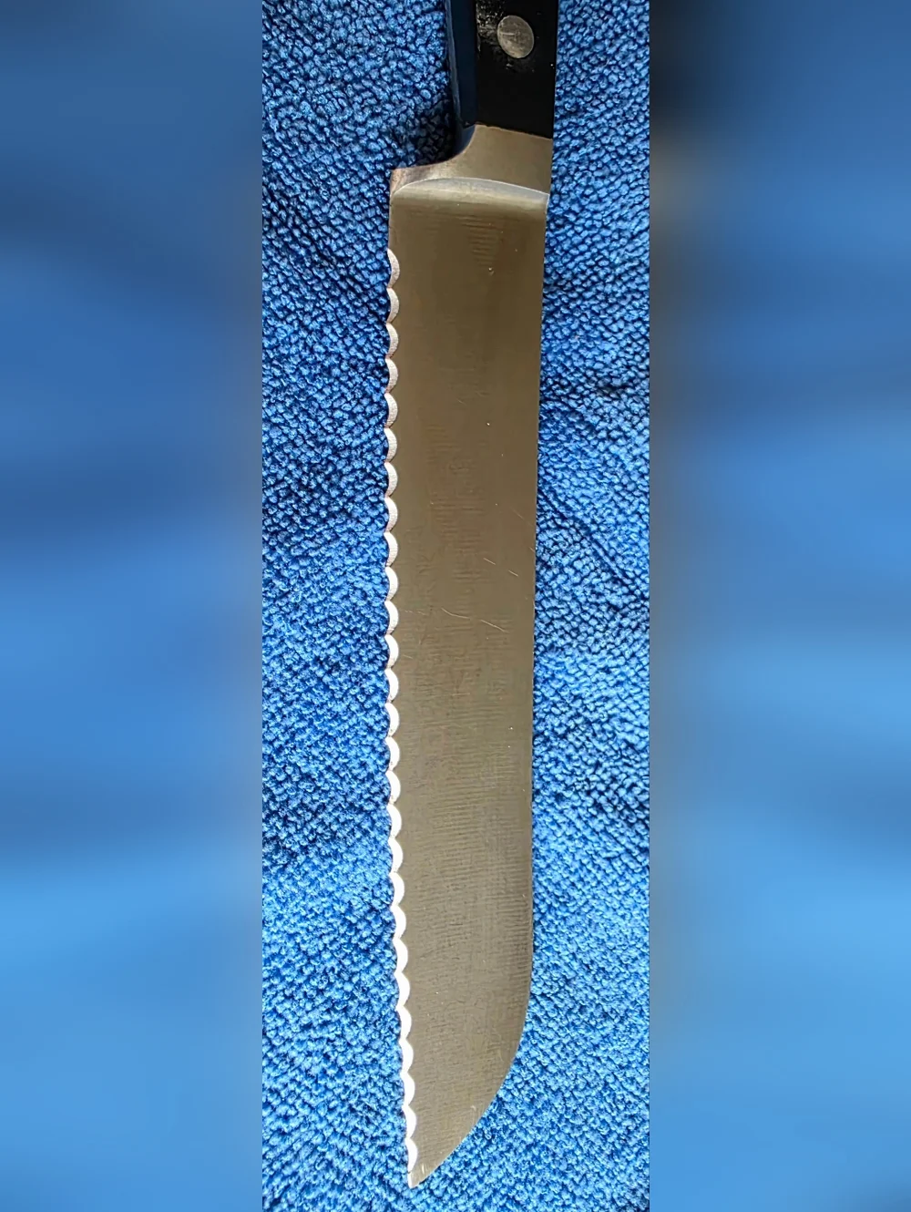 Zwilling J.A. Henckels International 7” Serrated Utility Knife – Spain – No Stai